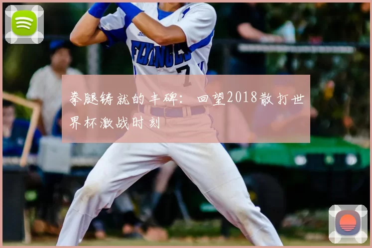 拳腿铸就的丰碑：回望2018散打世界杯激战时刻