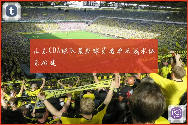 山东CBA球队最新球员名单及战术体系构建
