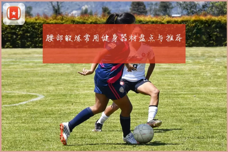 腰部锻炼常用健身器材盘点与推荐