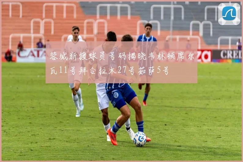 蓉城新援球员号码揭晓韦林顿席尔瓦11号拜合拉木27号茹萨5号