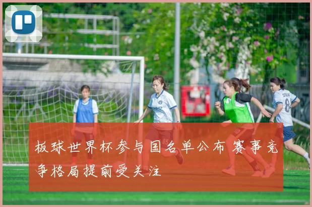 板球世界杯参与国名单公布 赛事竞争格局提前受关注