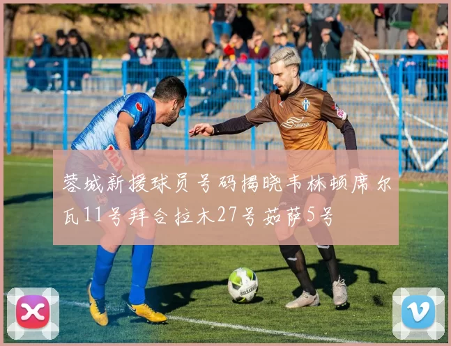 蓉城新援球员号码揭晓韦林顿席尔瓦11号拜合拉木27号茹萨5号