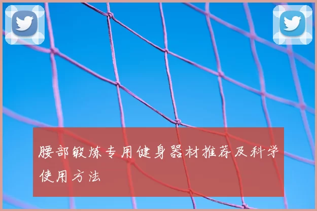 腰部锻炼专用健身器材推荐及科学使用方法