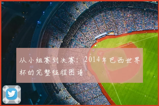 从小组赛到决赛：2014年巴西世界杯的完整征程图谱