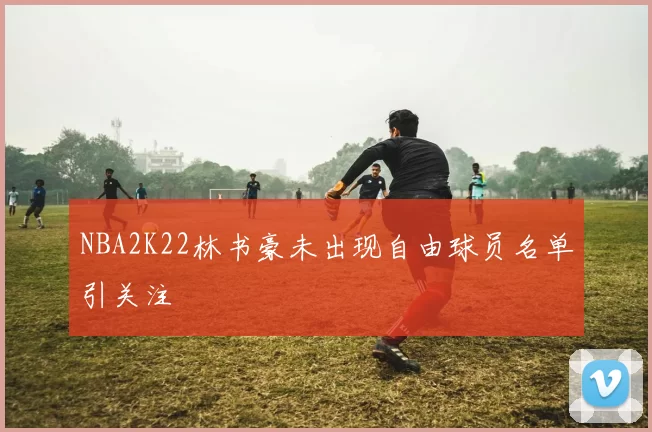 NBA2K22林书豪未出现自由球员名单引关注