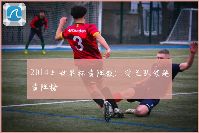2014年世界杯黄牌数：荷兰队领跑黄牌榜
