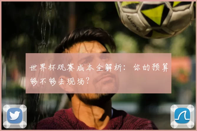 世界杯观赛成本全解析：你的预算够不够去现场？
