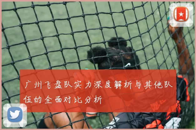 广州飞盘队实力深度解析与其他队伍的全面对比分析