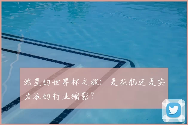 沈星的世界杯之旅:是花瓶还是实力派的行业缩影?