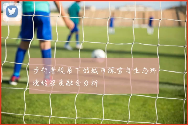步行者视角下的城市探索与生态环境的深度融合分析