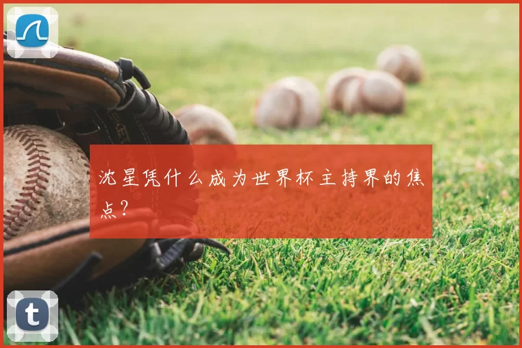 沈星凭什么成为世界杯主持界的焦点？