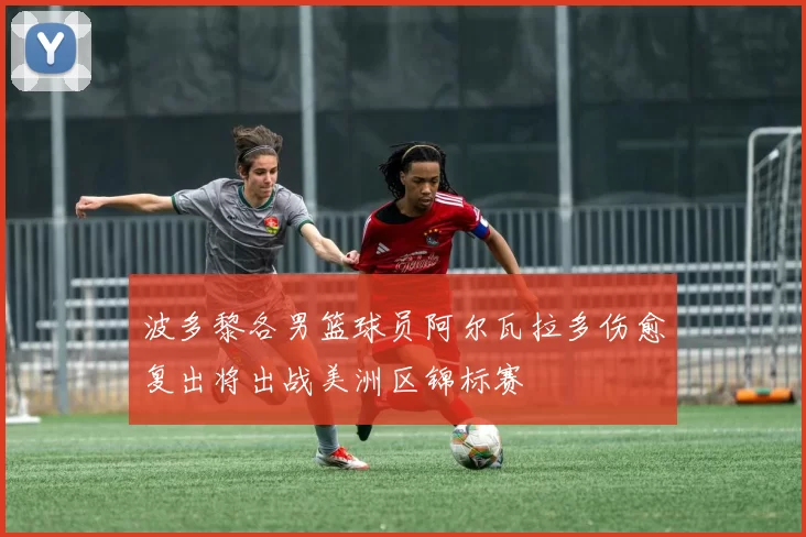 波多黎各男篮球员阿尔瓦拉多伤愈复出将出战美洲区锦标赛