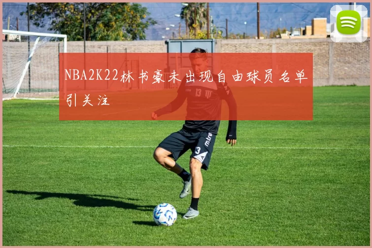 NBA2K22林书豪未出现自由球员名单引关注
