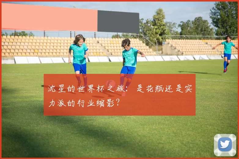 沈星的世界杯之旅:是花瓶还是实力派的行业缩影?