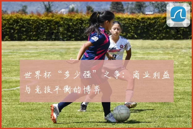 世界杯“多少强”之争：商业利益与竞技平衡的博弈