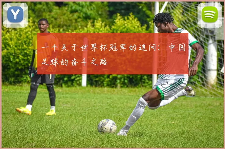 一个关于世界杯冠军的追问：中国足球的奋斗之路