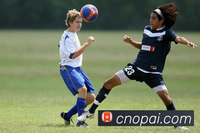 星空体育APP 封面图